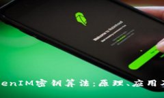 全面解析TokenIM密钥算法：