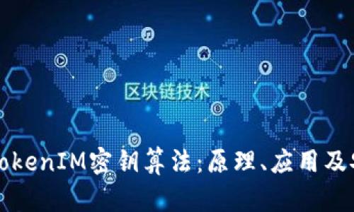 全面解析TokenIM密钥算法：原理、应用及安全性分析