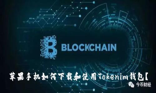 苹果手机如何下载和使用Tokenim钱包？