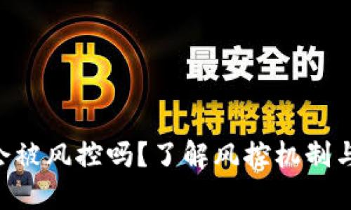 Tokenim会被风控吗？了解风控机制与应对策略