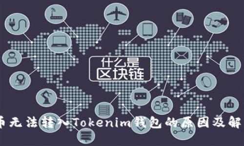 CTXC币无法转入Tokenim钱包的原因及解决方案