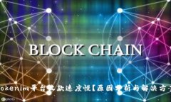 Tokenim平台收款速度慢？原