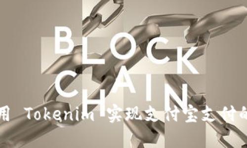 如何利用 Tokenim 实现支付宝支付的与应用