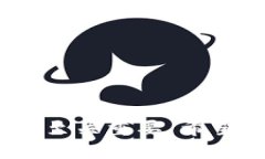 biao ti/biao ti：如何使用T