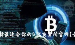 如何选择最适合你的BTC交