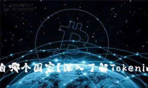 Tokenim：它来自哪个国家？深入了解Tokenim的背景与发展