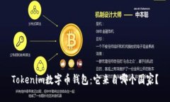 Tokenim数字币钱包：它来自