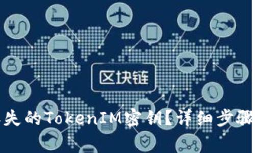 如何找回丢失的TokenIM密钥？详细步骤与注意事项