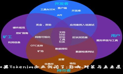 如果Tokenim企业倒闭了：影响、对策与未来展望