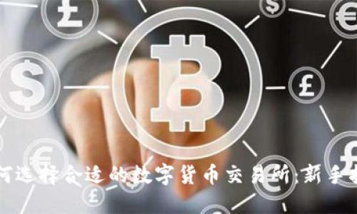 如何选择合适的数字货币交易所：新手指南