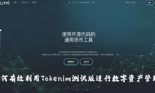 如何有效利用Tokenim测试版进行数字资产管理？