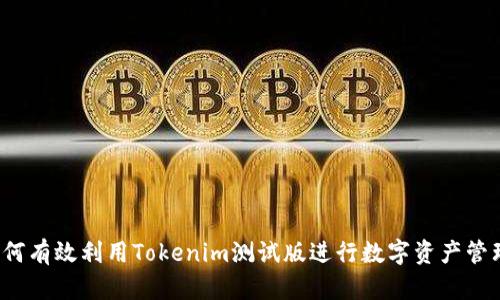 如何有效利用Tokenim测试版进行数字资产管理？