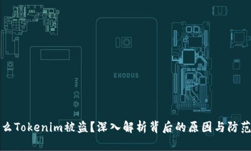 为什么Tokenim被盗？深入解析背后的原因与防范措施