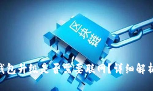 Tokenim冷钱包升级是否需要联网？详细解析与用户指南
