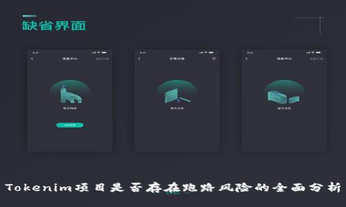 Tokenim项目是否存在跑路风险的全面分析