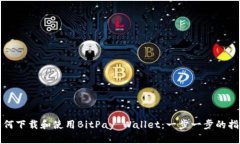 如何下载和使用BitPay Wal