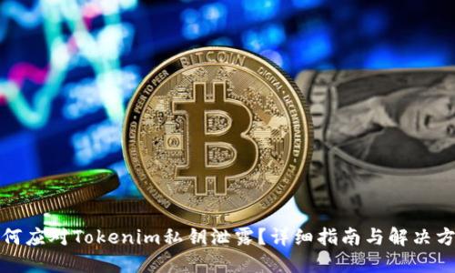 如何应对Tokenim私钥泄露？详细指南与解决方案