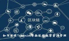 如何使用Tokenim界面进行数