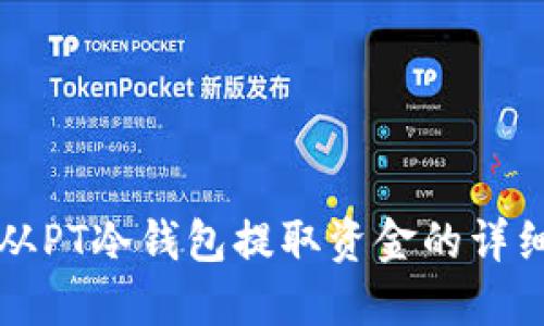 如何从PT冷钱包提取资金的详细指南
