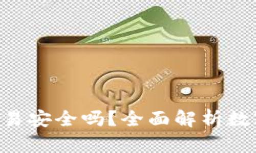 Gopay钱包交易安全吗？全面解析数字支付安全性