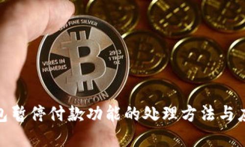 数字钱包暂停付款功能的处理方法与应对策略