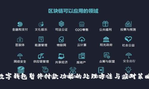 数字钱包暂停付款功能的处理方法与应对策略