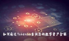 如何通过Tokenim查询您的数