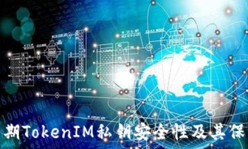  
揭秘早期TokenIM私钥安全性及其保护措施