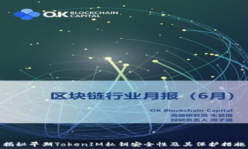  
揭秘早期TokenIM私钥安全性及其保护措施