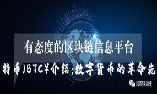 比特币（BTC）介绍：数字货币的革命先锋