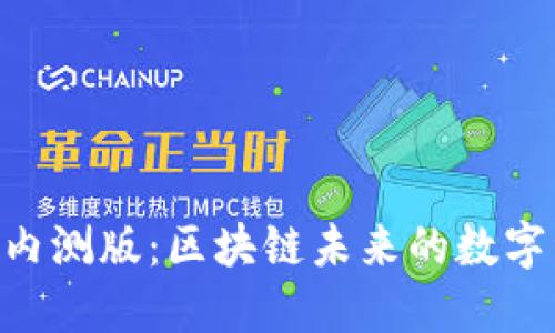 Tokenim钱包内测版：区块链未来的数字资产管理工具