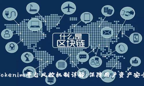 Tokenim平台风控机制详解：保障用户资产安全