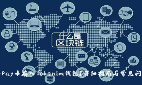 如何将Pay币存入Tokenim钱包？详细指南与常见问题解答