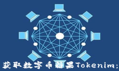 
如何免费获取数字币糖果Tokenim：新手指南