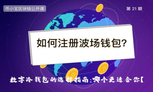 数字冷钱包的选择指南：哪个更适合你？