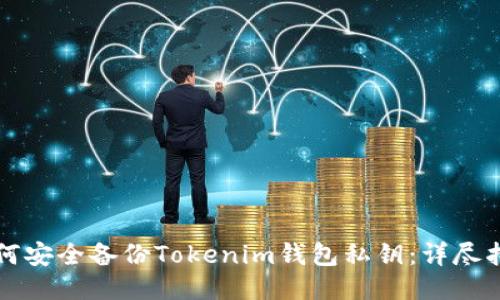 如何安全备份Tokenim钱包私钥：详尽指南