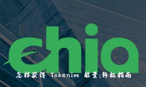 怎样获得 Tokenim 能量：终极指南