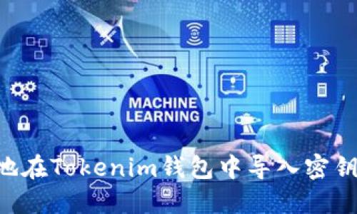 如何安全地在Tokenim钱包中导入密钥：完整指南