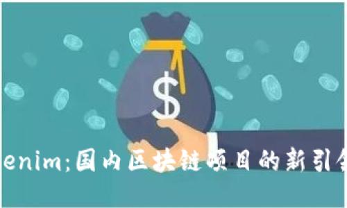 Tokenim：国内区块链项目的新引领者