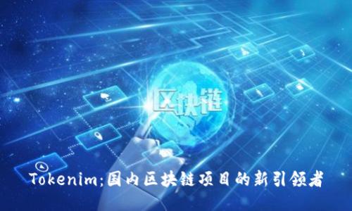 Tokenim：国内区块链项目的新引领者
