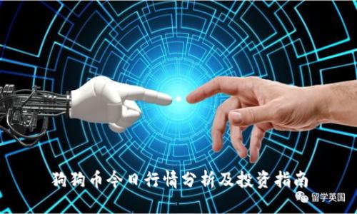狗狗币今日行情分析及投资指南