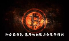 冷少捡钱包：意外的相遇
