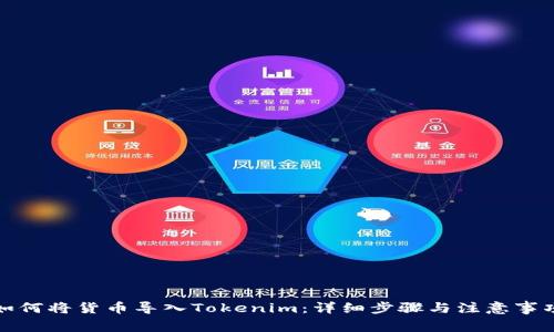 如何将货币导入Tokenim：详细步骤与注意事项