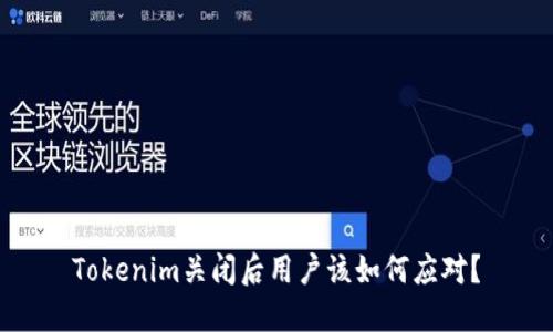 Tokenim关闭后用户该如何应对？
