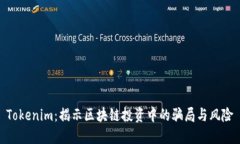 Tokenim：揭示区块链投资中