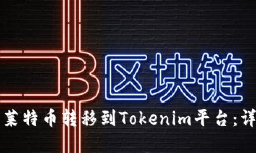 如何将莱特币转移到Tokenim平台：详细指南