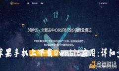 如何在苹果手机上下载O