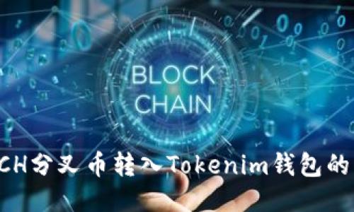 如何将BCH分叉币转入Tokenim钱包的详细指南