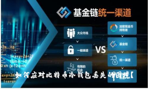 如何应对比特币冷钱包丢失的困境？