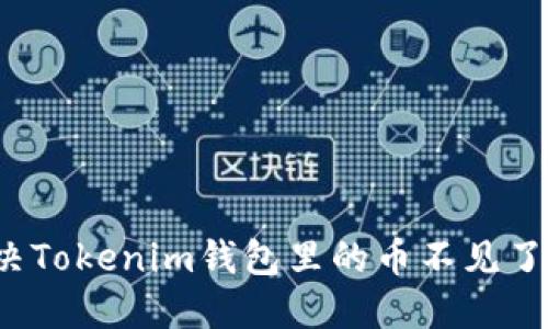 如何解决Tokenim钱包里的币不见了的问题？